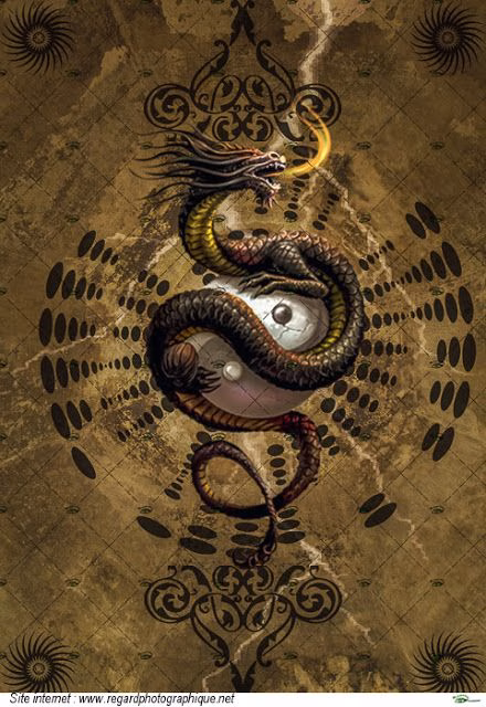 703617141776988803