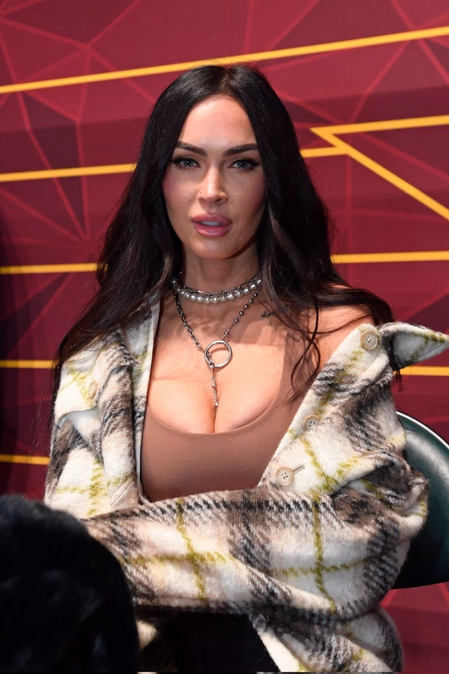 Megan Fox HD Photo 200
